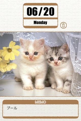Daily Calender Healing Cat Screen 3