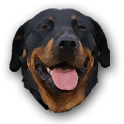 Gratter Vesta logo