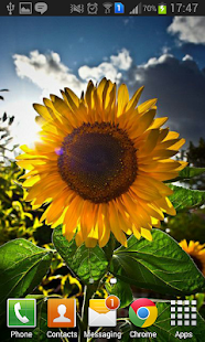 How to download Fantastic Flower Wallpaper HD 1.0 apk for bluestacks