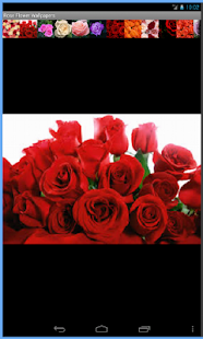 How to download Rose Flowers Wallpaper lastet apk for bluestacks