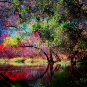 A Colorful Bayou by Michael Grado - Landscapes Waterscapes
