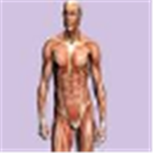 Anatomy and Physiology 4.1
