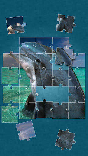 【免費解謎App】Dolphins Jigsaw Puzzle-APP點子