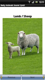 Baby Animals Sound Quiz! Screenshots 4