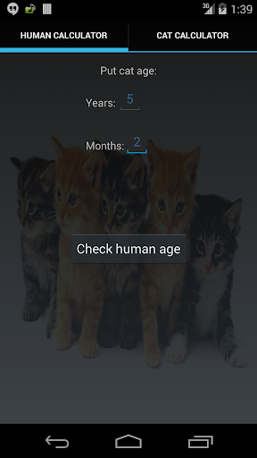 cat age