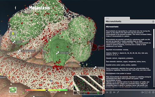 Lastest bodyxq cancer APK