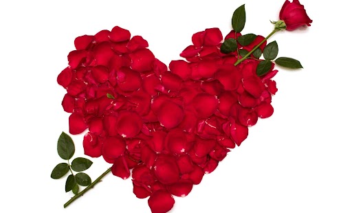 Free Love Wallpaper APK