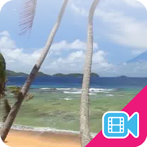 Beach Palms Live WallPaper.apk 1.0.7