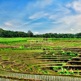 My Sweet Village by Agung Setiawan - Landscapes Mountains & Hills