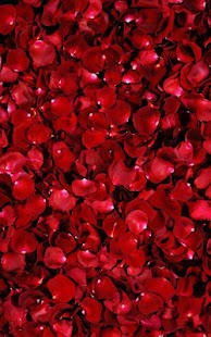 How to download Petals Live Wallpaper patch 14.0 apk for pc