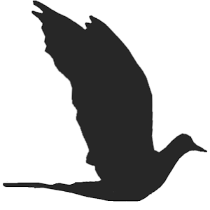 블랙버드 키보드 - 무료 - BlackBird 2.1.apk 2.1