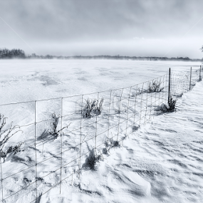 Black & White by Salehin Chowdhury - Landscapes Weather