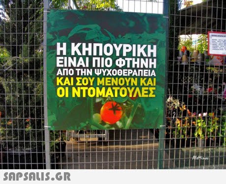 Η ΚΗΠΟΥΡΙΚΗ ΕΙΝΑΙ ΠΙΟ ΦΤΗΝΗ ΑΠΟ ΤΗΝ ΨΥΧΟΘΕΡΑΠΕΙΑ ΚΑΙ ΣΟΥ ΜΕΝΟΥΝ ΚΑΙ ΟΙ ΝΤΟΜΑΤΟΥΛΕΣ 