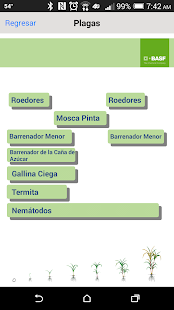 How to install BASF México-Cultivo de la Caña patch 1.1 apk for pc
