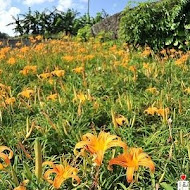 【貓空】大茶壺茶餐廳