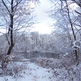 by Jonathan Aguirre - Landscapes Weather