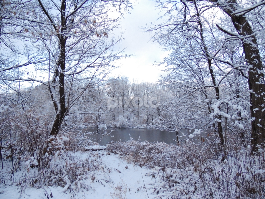 by Jonathan Aguirre - Landscapes Weather