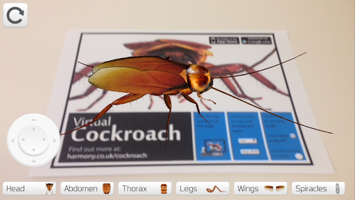 Virtual Cockroach