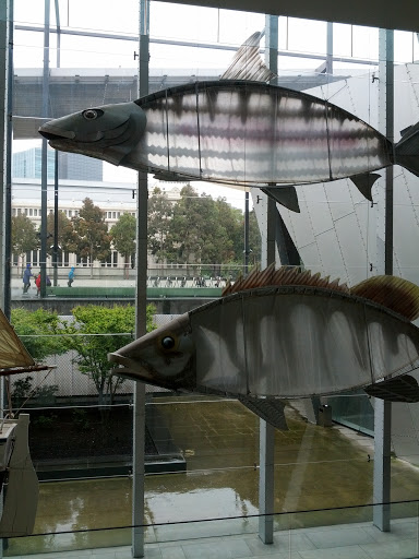 Giant Fish, Melbourne Museum