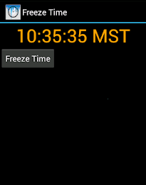 Freeze Time poster 1