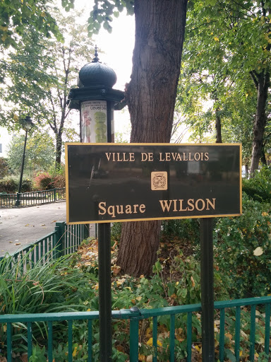 Square Wilson