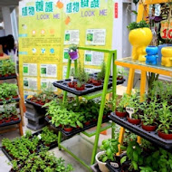 香草菲菲 芳香植物博物館