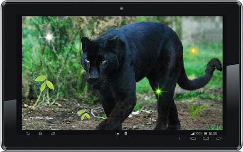 Panther Black Leopard LWP Screenshots 1