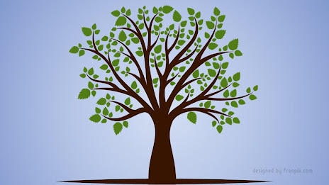 회생센터 poster 3