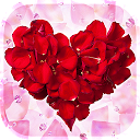 Rose Petals Live Wallpaper mobile app icon