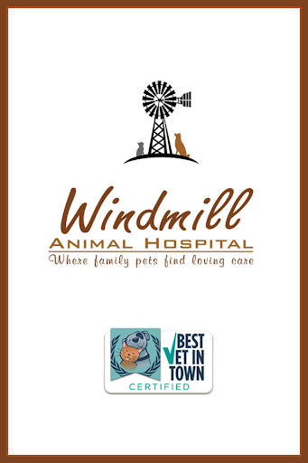 Windmill Vet