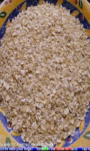 Top 10 Cereals FREE - náhled