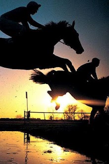 3D Horse Racing