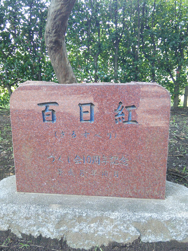 三橋総合公園百日紅記念碑