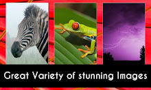 Wallpaper & Background Deluxe APK