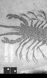 Bevagna - Umbria Musei poster 5