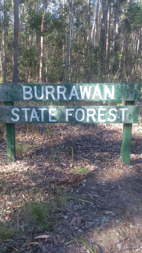 Secret Home Of The Burrawan