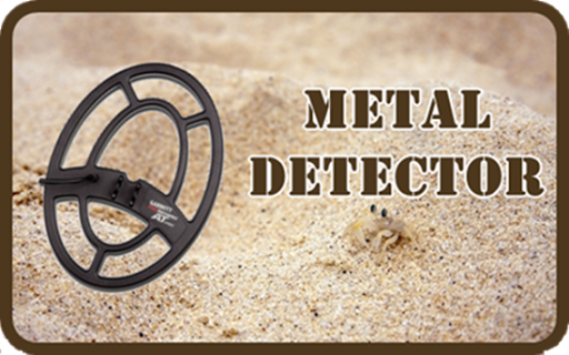 Metal Detector