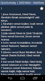 Hungarian Holy Bible poster 5