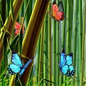Butterfly bamboo animated  LWP logo