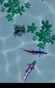 Koi pond 3D Screenshots 0