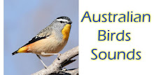 Australian Birds Sounds APK