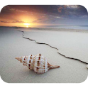 Seashell Photography logo