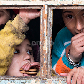 by Dana Corina Popescu - Babies & Children Children Candids