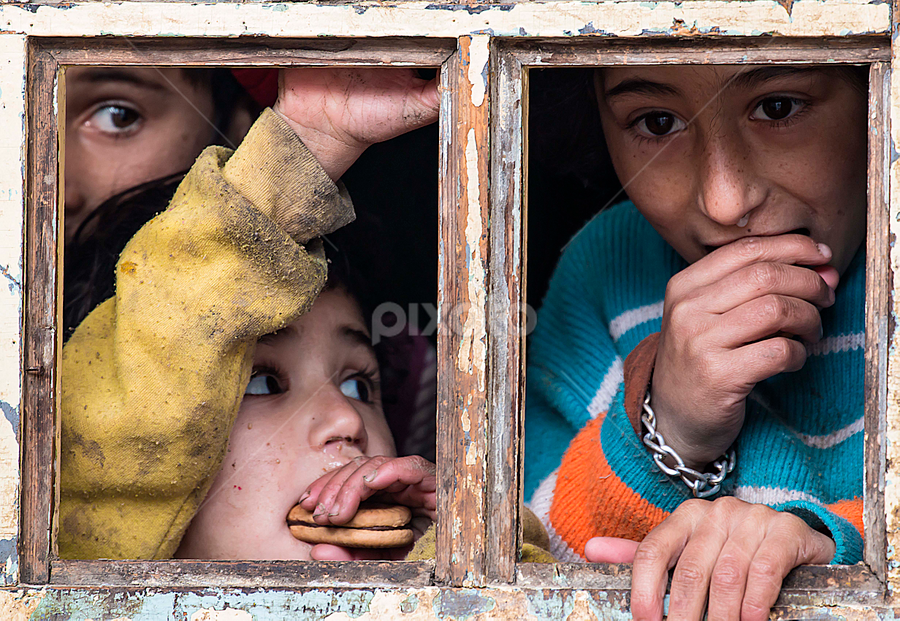 by Dana Corina Popescu - Babies & Children Children Candids