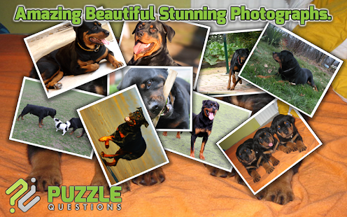 How to get Rottweiler Puzzle Games 3.1.5 mod apk for bluestacks