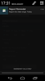 DG Report Reminder poster 2