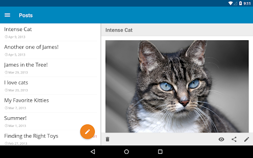 WordPress - screenshot thumbnail