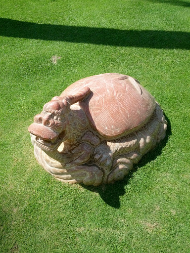 Ancient Dragon Turtle