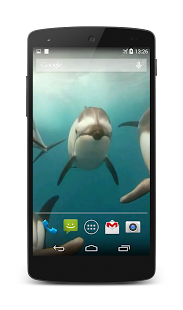 免費下載個人化APP|Dolphins Live Wallpaper app開箱文|APP開箱王