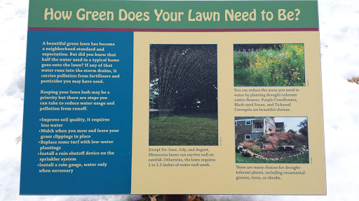 How Green Does Your Lawn Need To Be?